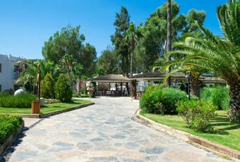 Driveways