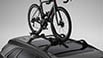 Roof Carriers (ProRide XT Upright Bicycle Carrier)