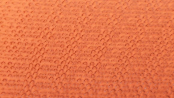 Orange seat belt color