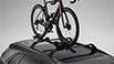 Roof Carriers (ProRide Upright Bicycle Carrier)