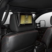 Rear Seat Entertainment (Platinum Reserve)