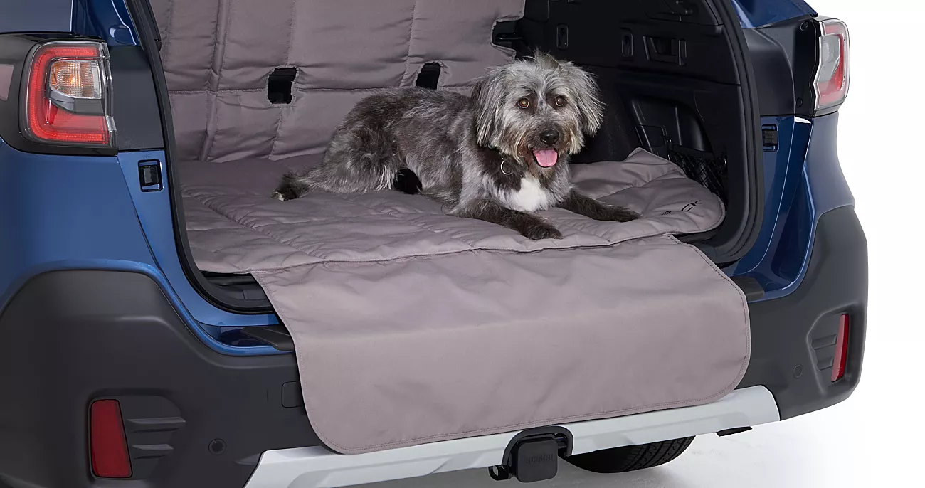 Pet-friendly Padded Cargo Liner