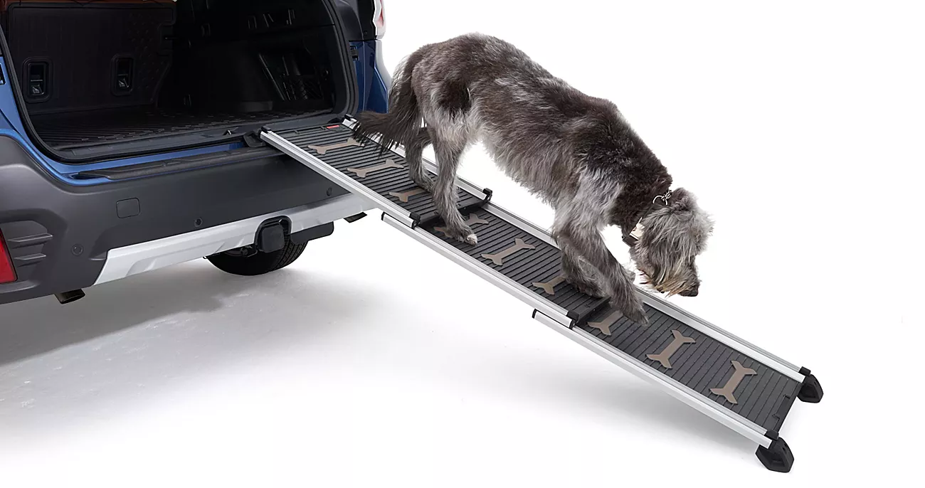 Pet Ramp