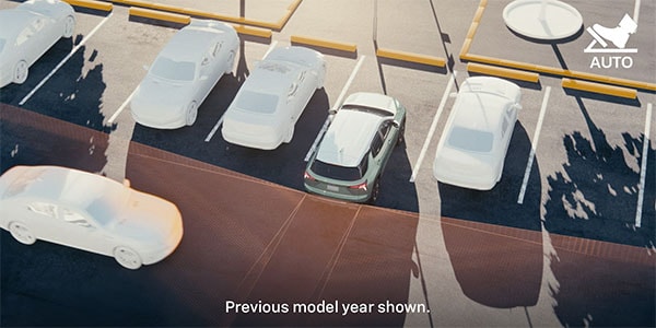 Car Images